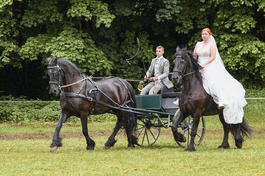 Die traditionelle W&uuml;lfinger&ouml;der Ponyschau kehrt im Juni zur&uuml;ck
