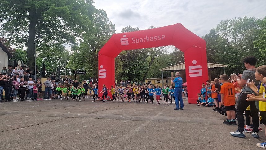 Im Gehege fand heute wieder der Kreiscrosslauf statt