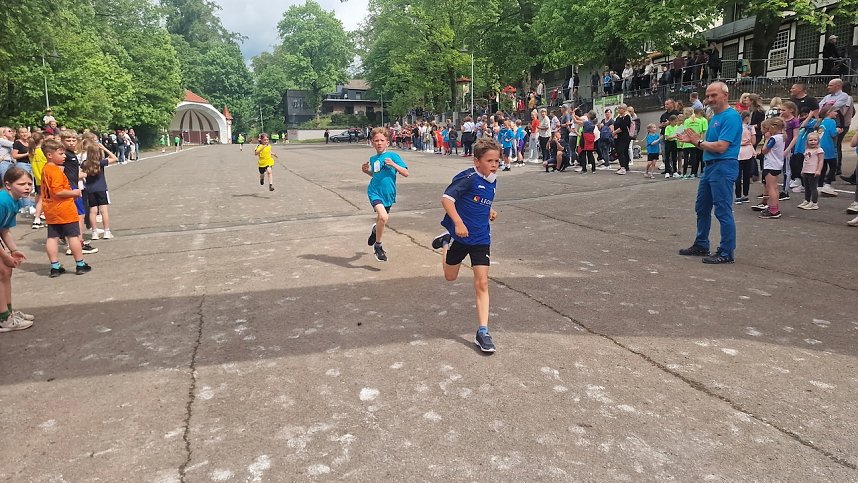 Im Gehege fand heute wieder der Kreiscrosslauf statt
