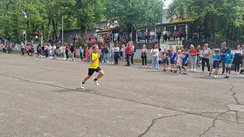 Im Gehege fand heute wieder der Kreiscrosslauf statt