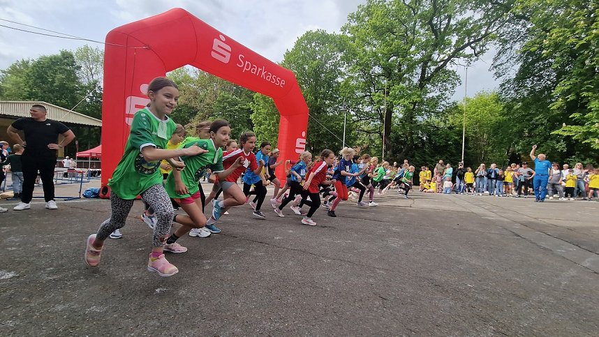 Im Gehege fand heute wieder der Kreiscrosslauf statt
