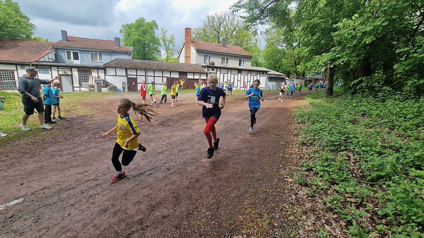 Im Gehege fand heute wieder der Kreiscrosslauf statt