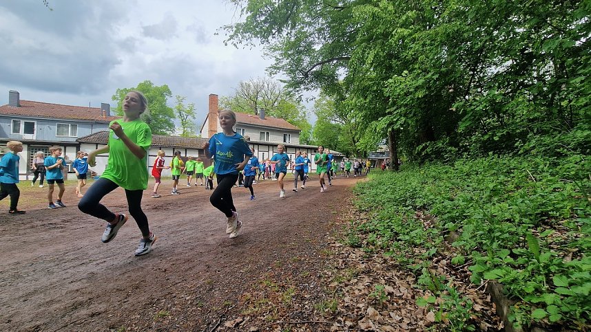 Im Gehege fand heute wieder der Kreiscrosslauf statt