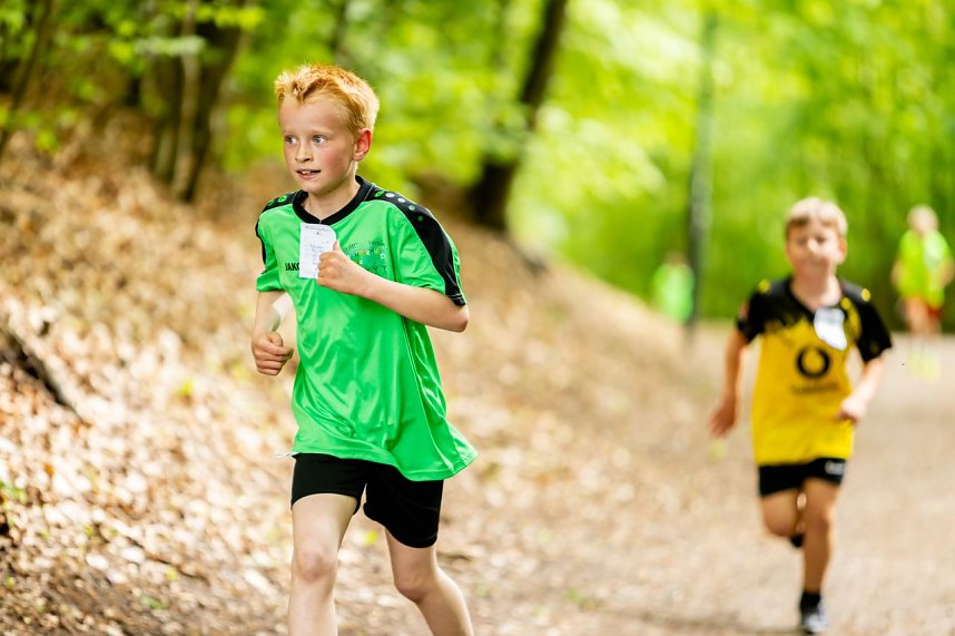 Eindr&uuml;cke vom Gehege-Crosslauf