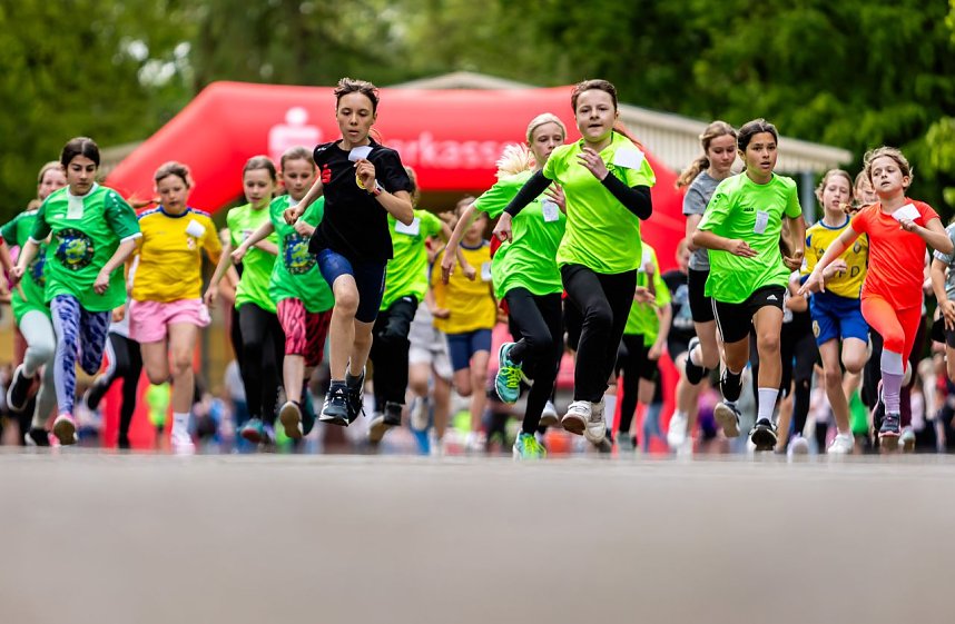 Eindr&uuml;cke vom Gehege-Crosslauf