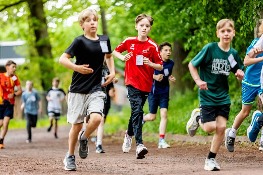 Eindr&uuml;cke vom Gehege-Crosslauf