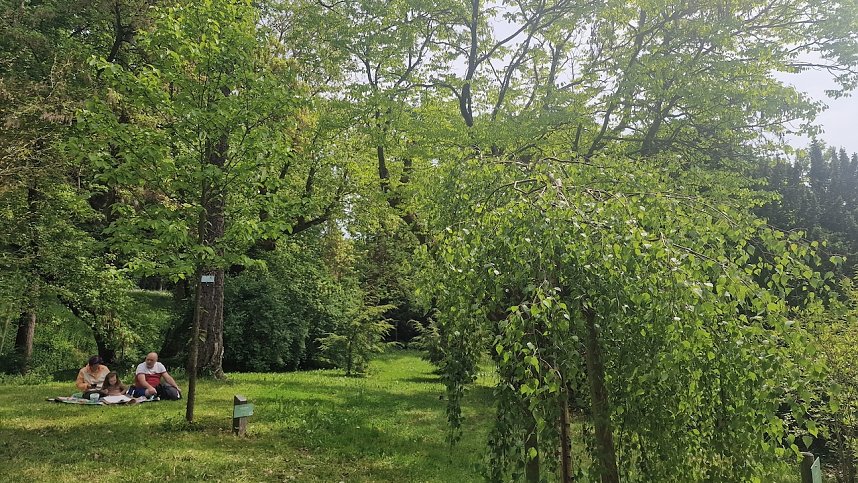 Parkfest und Parknick zum Muttertag im Park Hohenrode in Nordhausen