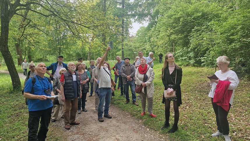 Parkfest und Parknick zum Muttertag im Park Hohenrode in Nordhausen