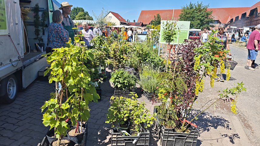 2. Bauernmarkt auf dem Scheunenhof in Sundhausen