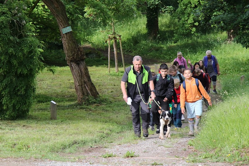 Im Park Hohenrode fanden heute wieder die Waldjugendspiele statt