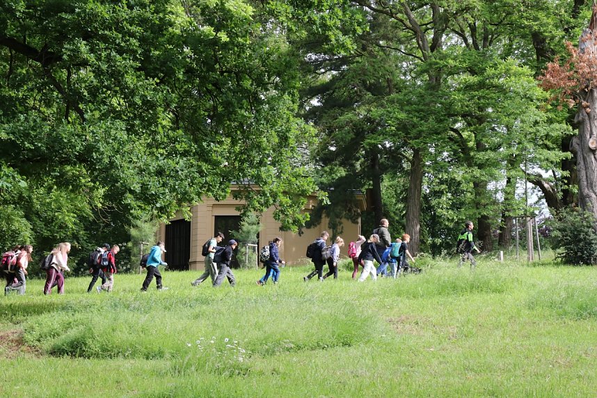 Im Park Hohenrode fanden heute wieder die Waldjugendspiele statt