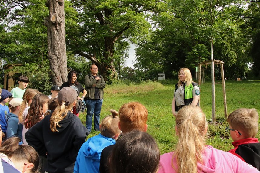 Im Park Hohenrode fanden heute wieder die Waldjugendspiele statt