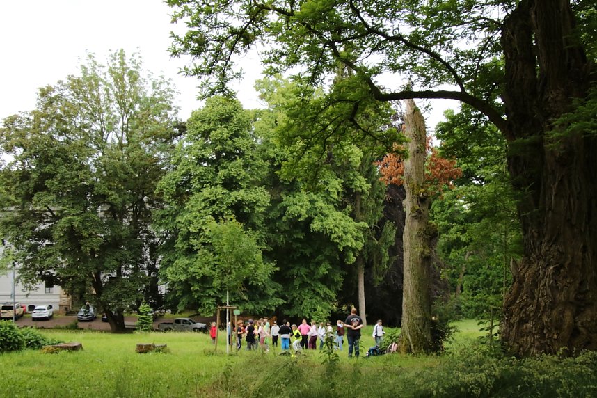 Im Park Hohenrode fanden heute wieder die Waldjugendspiele statt