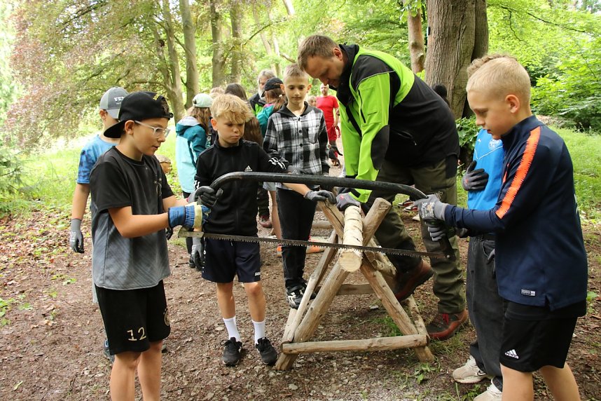 Im Park Hohenrode fanden heute wieder die Waldjugendspiele statt