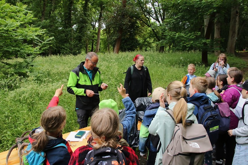 Im Park Hohenrode fanden heute wieder die Waldjugendspiele statt