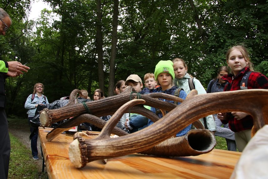 Im Park Hohenrode fanden heute wieder die Waldjugendspiele statt