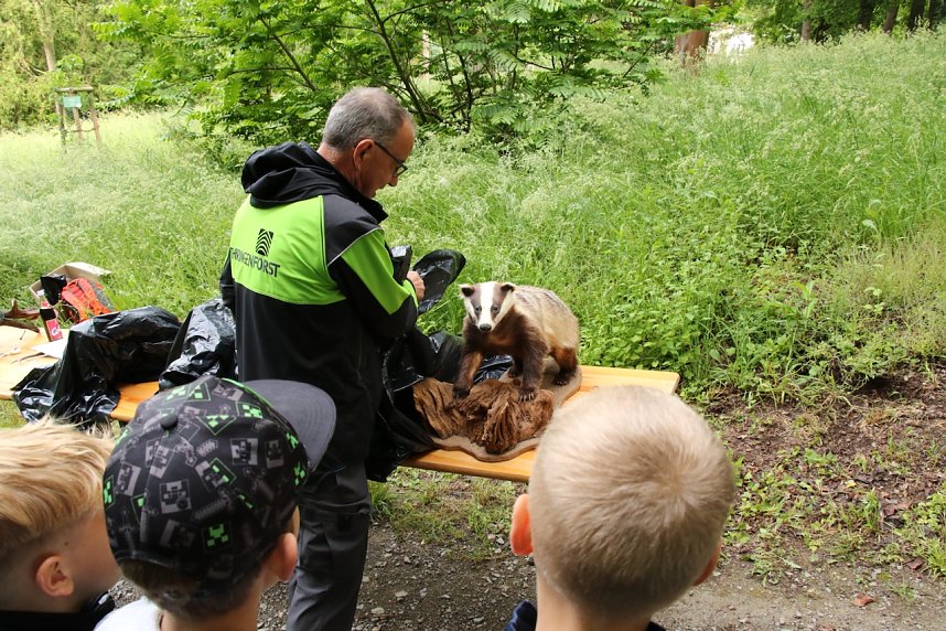 Im Park Hohenrode fanden heute wieder die Waldjugendspiele statt