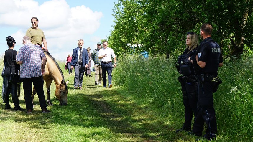 Die dicke Eiche bei Krimderode wurde heute als National-Erbe-Baum ausgerufen. 