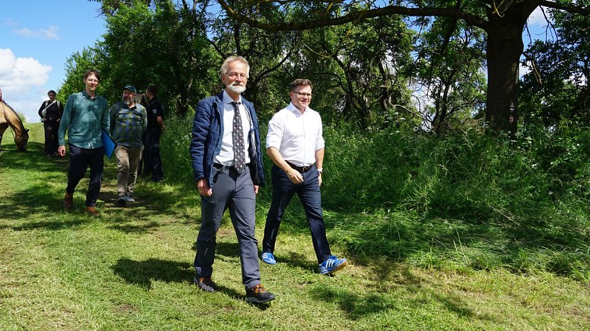 Die dicke Eiche bei Krimderode wurde heute als National-Erbe-Baum ausgerufen. 