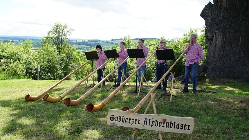 Die dicke Eiche bei Krimderode wurde heute als National-Erbe-Baum ausgerufen. 