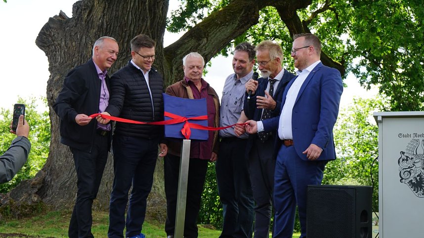 Die dicke Eiche bei Krimderode wurde heute als National-Erbe-Baum ausgerufen. 