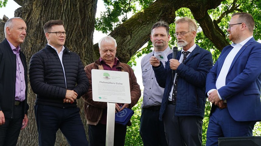 Die dicke Eiche bei Krimderode wurde heute als National-Erbe-Baum ausgerufen. 