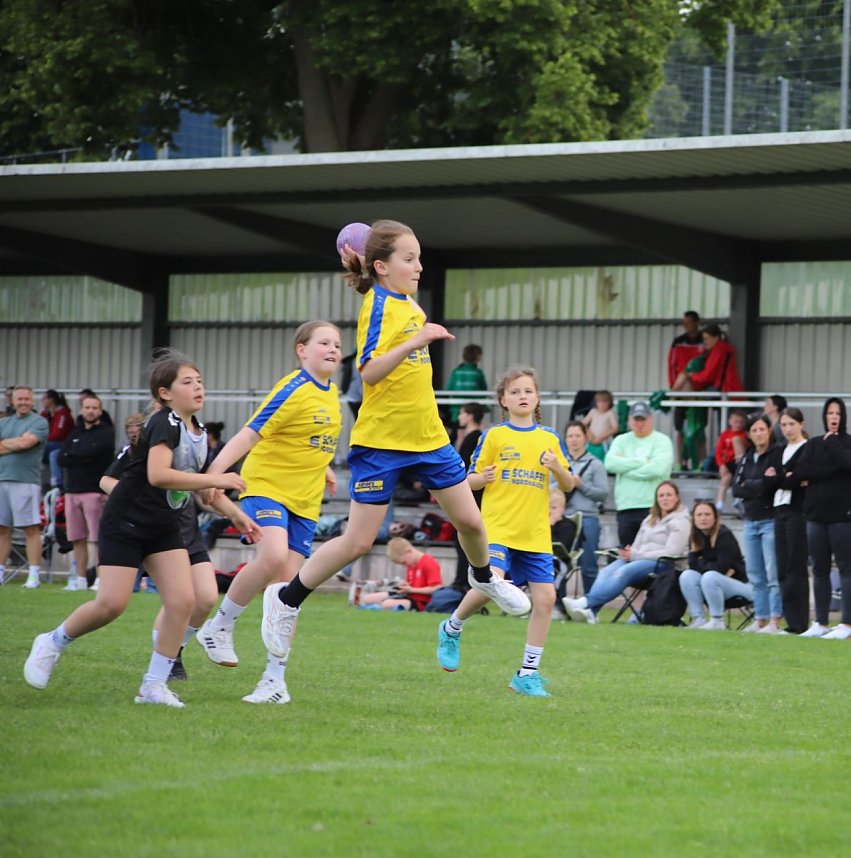 Handball-Ergebnisdienst