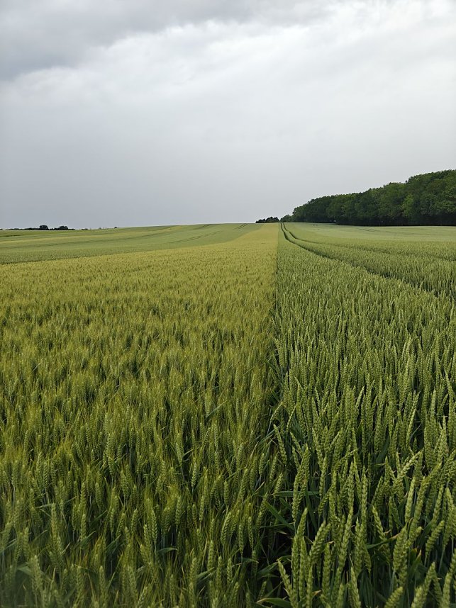 Feldtag des Kreisbauernverbandes