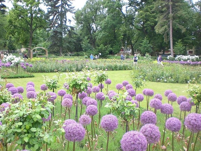 Zu Besuch im Nordharz