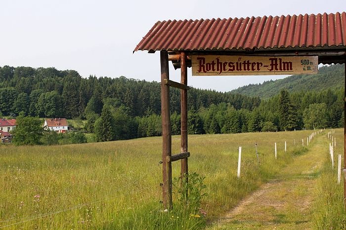 Im Einklang mit der Natur