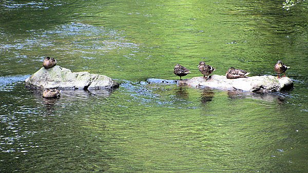 Ausflug nach Altenbrak