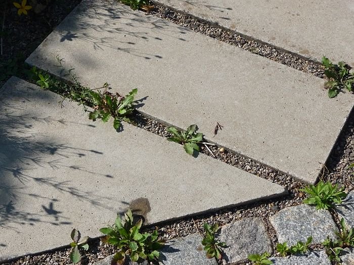 Unterwegs auf dem Berg