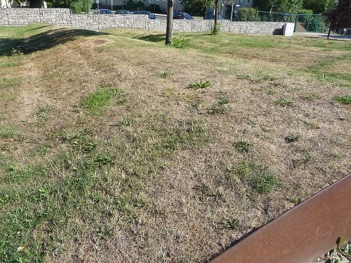 Unterwegs auf dem Berg