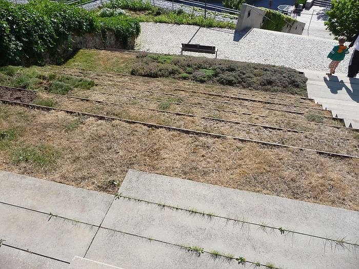 Unterwegs auf dem Berg