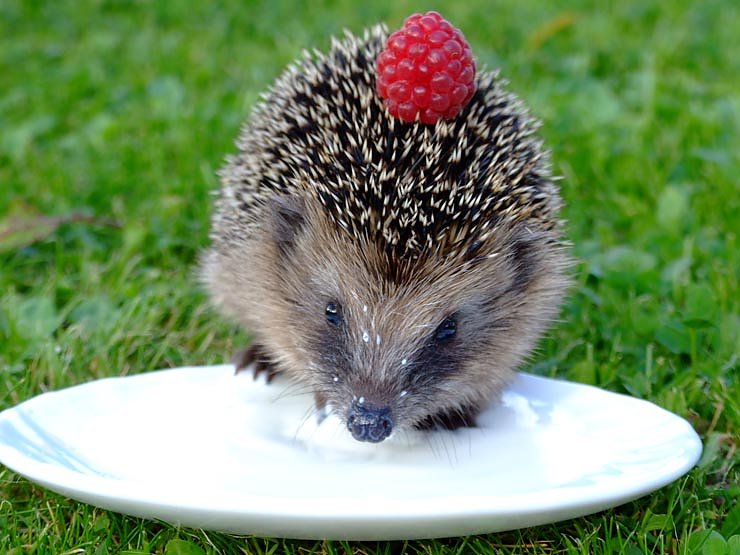 Herbstliche Begegnungen