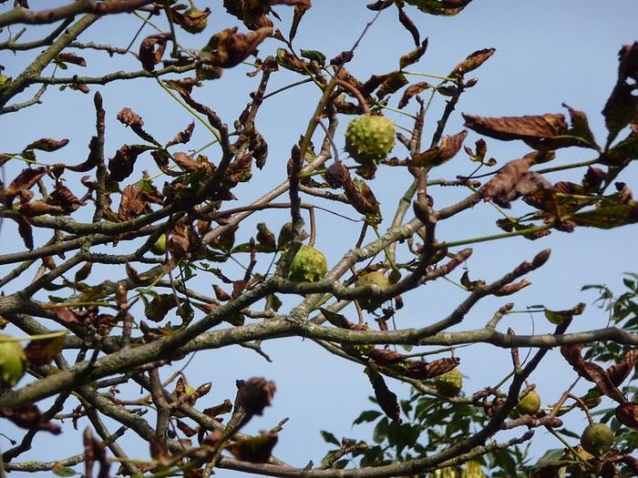 Unterwegs nach Ilfeld