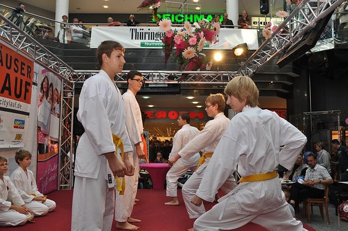 Aktivtag in der S&uuml;dharzgalerie