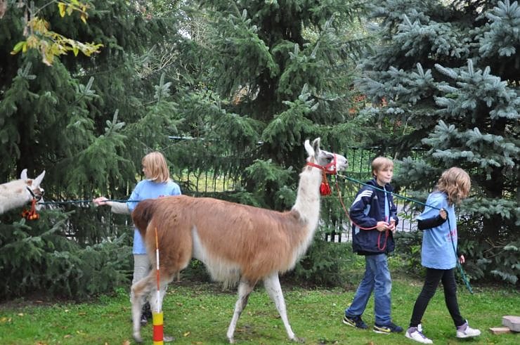 "Vielfalt tut gut" - Stra&szlig;enfest beim Falken