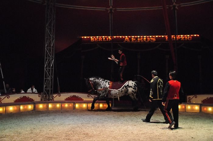 Zirkus Aeros in Nordhausen