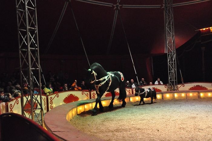 Zirkus Aeros in Nordhausen