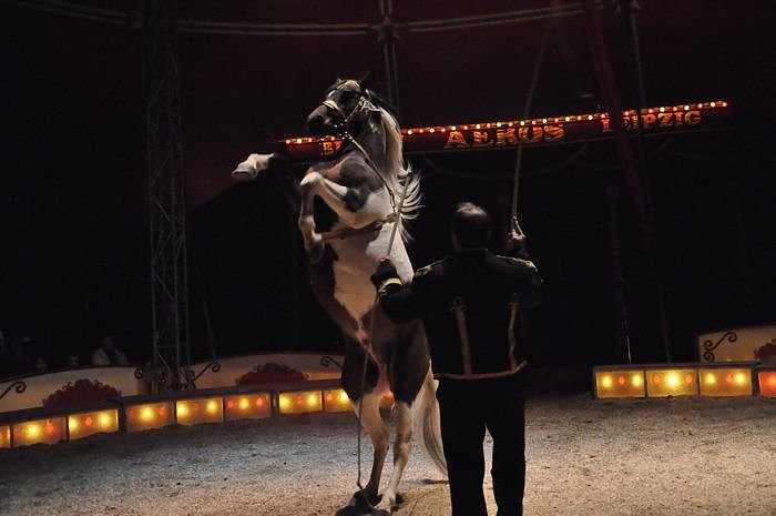 Zirkus Aeros in Nordhausen