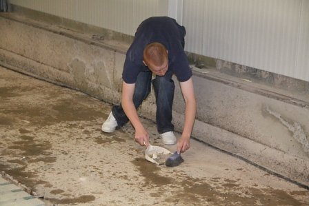 Arbeitseinsatz in der Halle