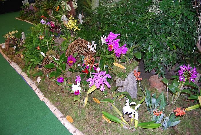 Zauberhafte Sch&ouml;nheiten