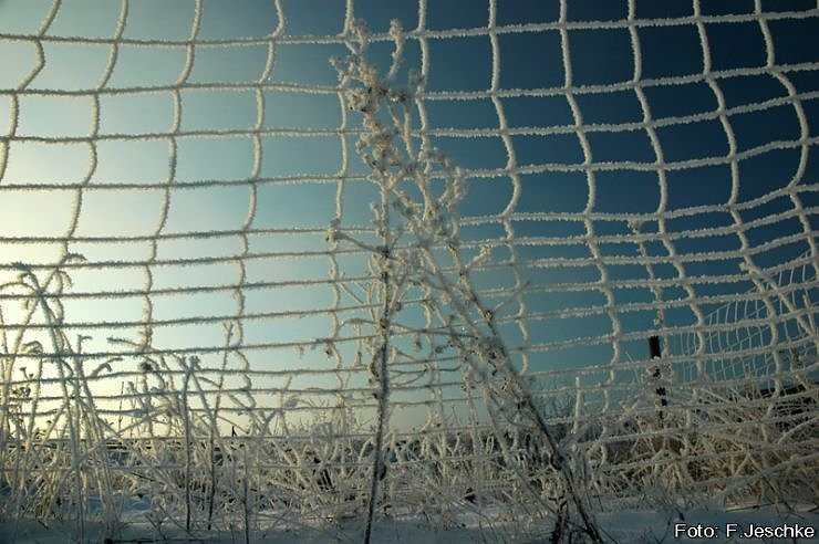 Sonnig-frostiger Morgen