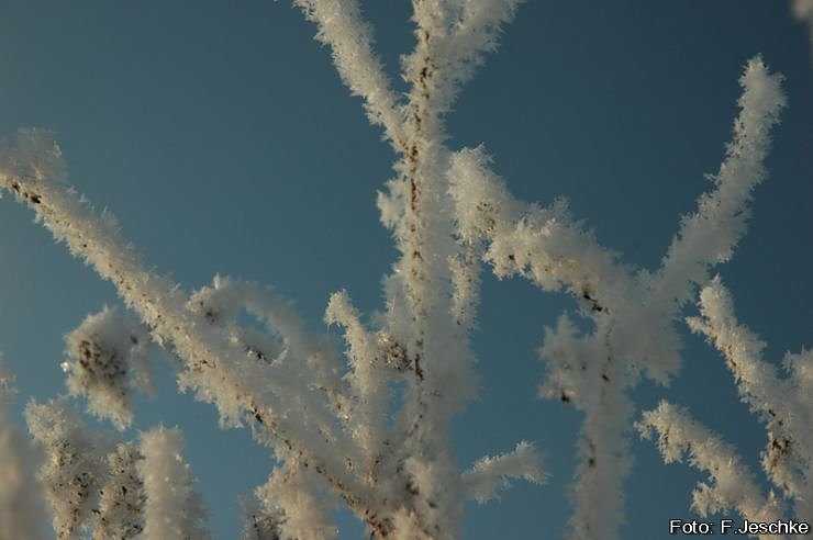 Sonnig-frostiger Morgen