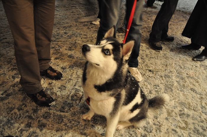 Weihnachtsmarkt am Sonntag
