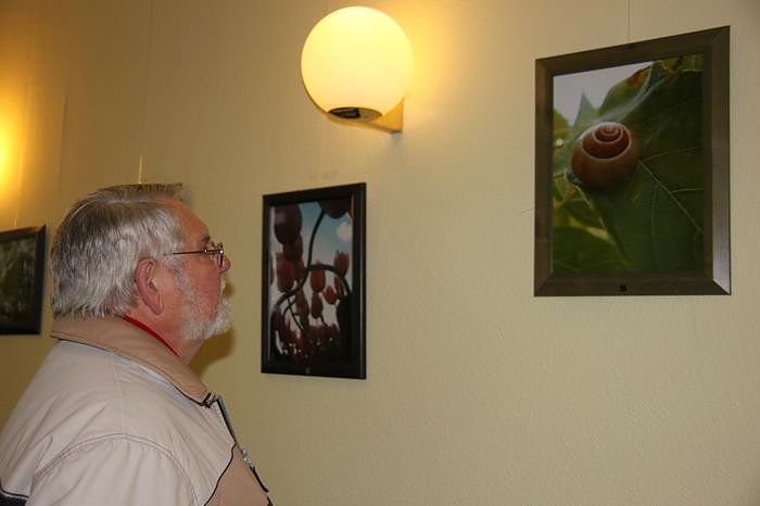 Ausstellung er&ouml;ffnet