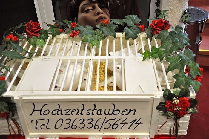 12.Hochzeitmesse in Nordhausen