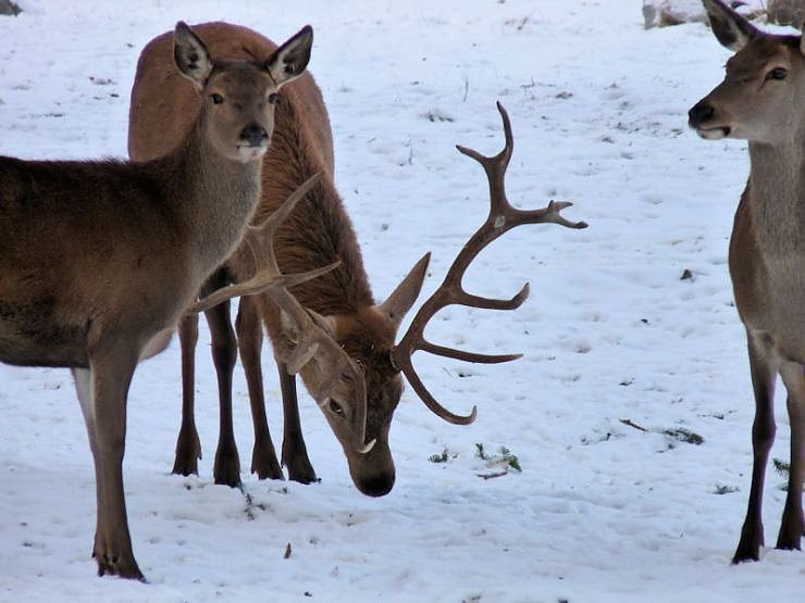 Unterwegs in Benneckenstein