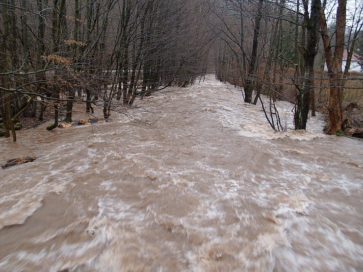Die Bere am Netzkater